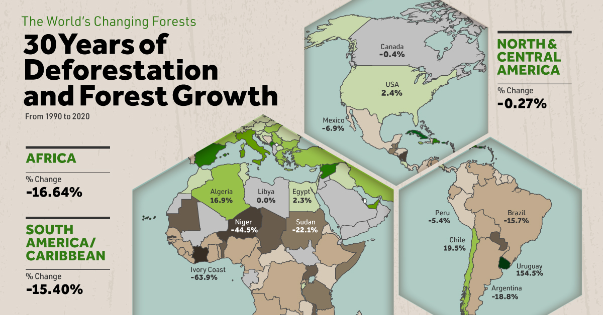 Deforestation in the  increased by 33% in first 10 months of