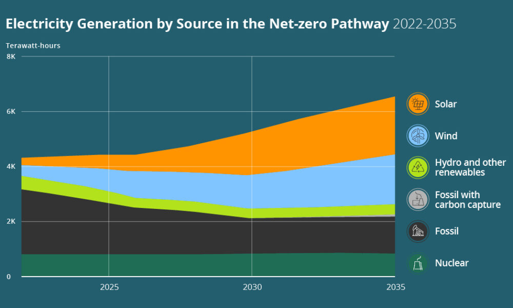 decarbonized power sector